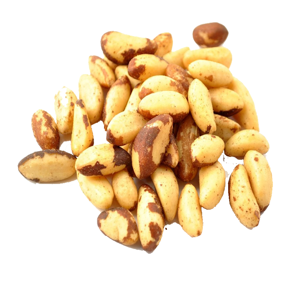 NUTS BRIESTA ブリエスタ　 ブリエスタ（BRIESTA） - NUTS アウトドア